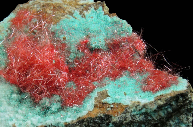 Cuprite var. Chalcotrichite on Chrysocolla from Ray Mine, Mineral Creek District, Pinal County, Arizona