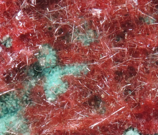 Cuprite var. Chalcotrichite on Chrysocolla from Ray Mine, Mineral Creek District, Pinal County, Arizona