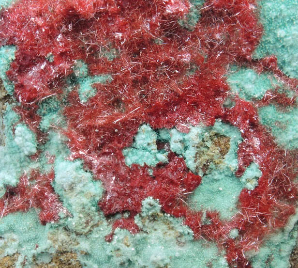 Cuprite var. Chalcotrichite on Chrysocolla from Ray Mine, Mineral Creek District, Pinal County, Arizona