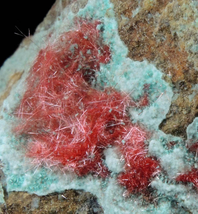 Cuprite var. Chalcotrichite on Chrysocolla from Ray Mine, Mineral Creek District, Pinal County, Arizona