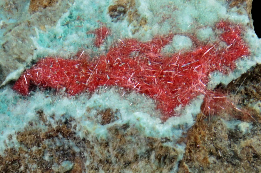 Cuprite var. Chalcotrichite on Chrysocolla from Ray Mine, Mineral Creek District, Pinal County, Arizona