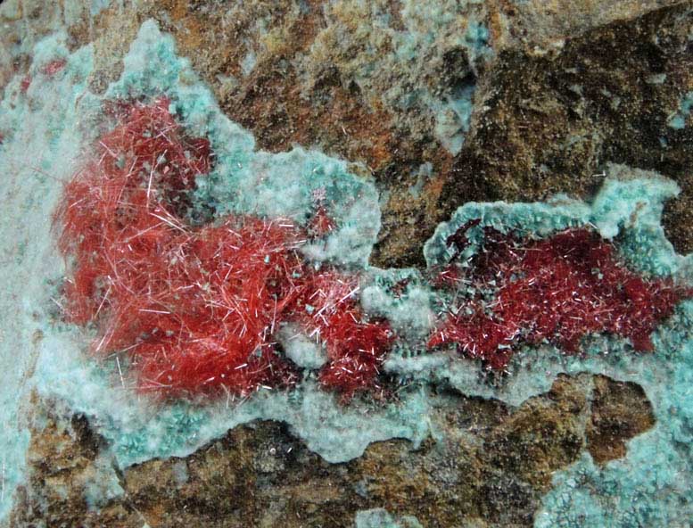 Cuprite var. Chalcotrichite on Chrysocolla from Ray Mine, Mineral Creek District, Pinal County, Arizona