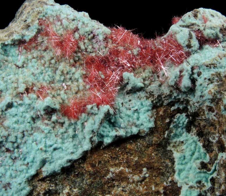 Cuprite var. Chalcotrichite on Chrysocolla from Ray Mine, Mineral Creek District, Pinal County, Arizona