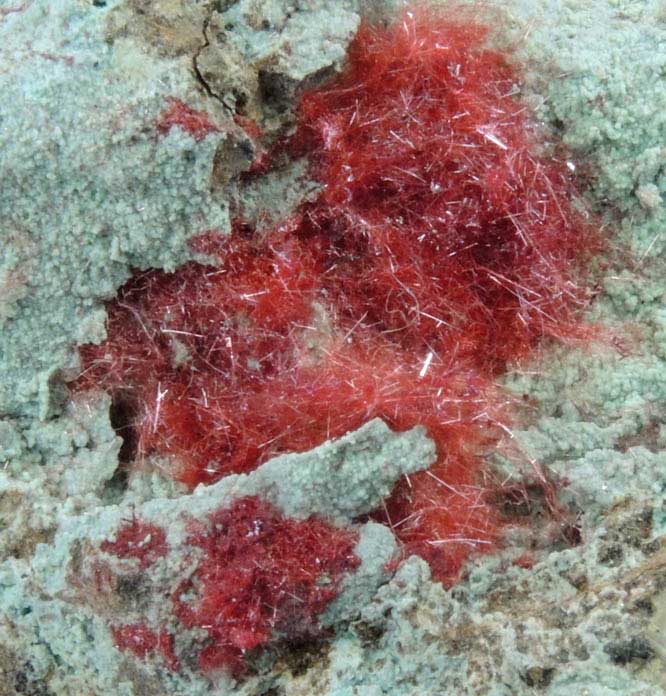 Cuprite var. Chalcotrichite on Chrysocolla from Ray Mine, Mineral Creek District, Pinal County, Arizona