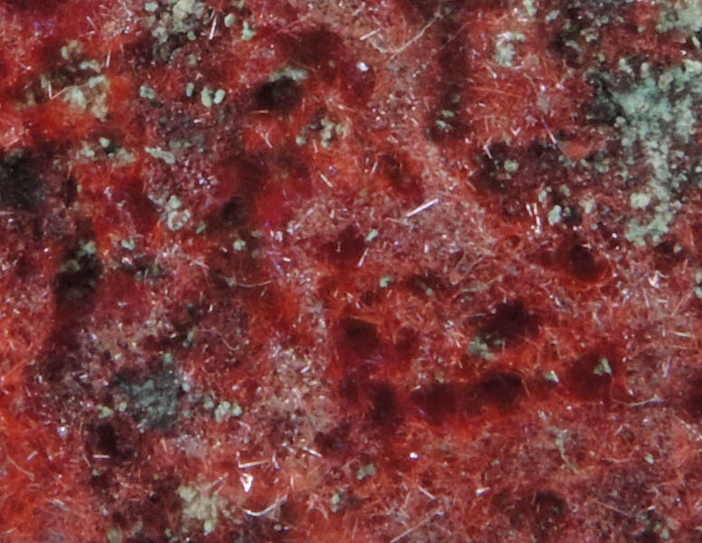 Cuprite var. Chalcotrichite on Chrysocolla from Ray Mine, Mineral Creek District, Pinal County, Arizona