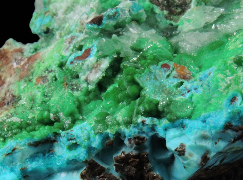 Conichalcite, Calcite, Chrysocolla from Gold Hill Mine, Toole County, Utah