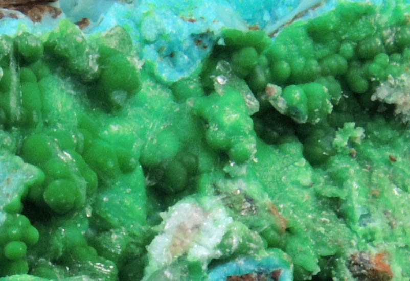 Conichalcite, Calcite, Chrysocolla from Gold Hill Mine, Toole County, Utah