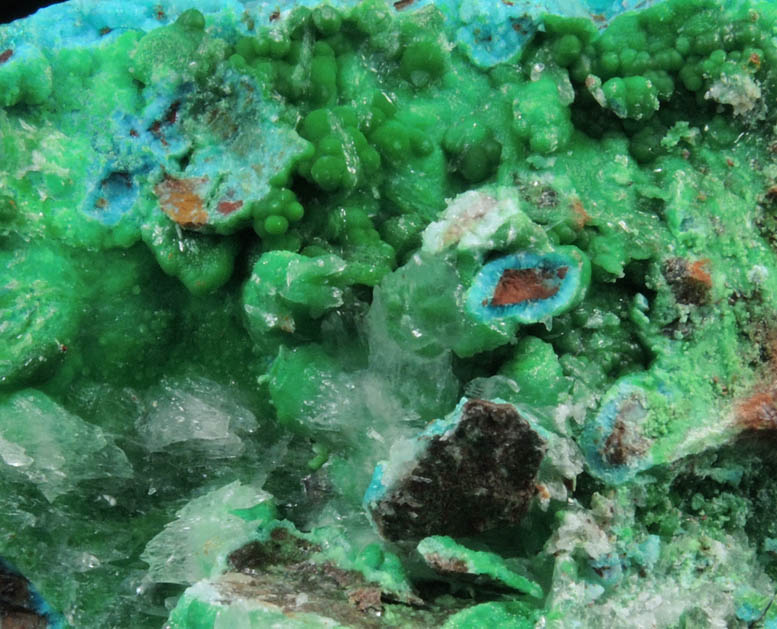 Conichalcite, Calcite, Chrysocolla from Gold Hill Mine, Toole County, Utah