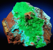 Conichalcite and Calcite over Chrysocolla from Gold Hill Mine, Toole County, Utah