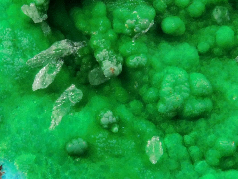 Conichalcite and Calcite over Chrysocolla from Gold Hill Mine, Toole County, Utah