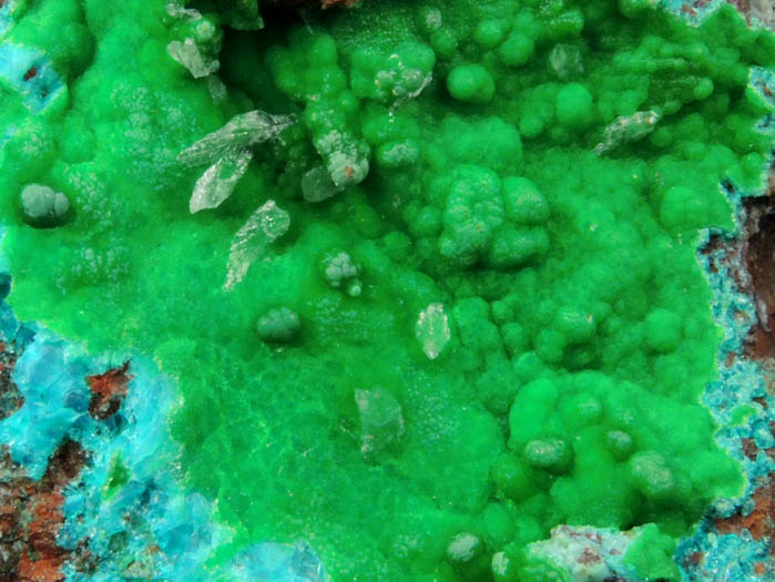 Conichalcite and Calcite over Chrysocolla from Gold Hill Mine, Toole County, Utah