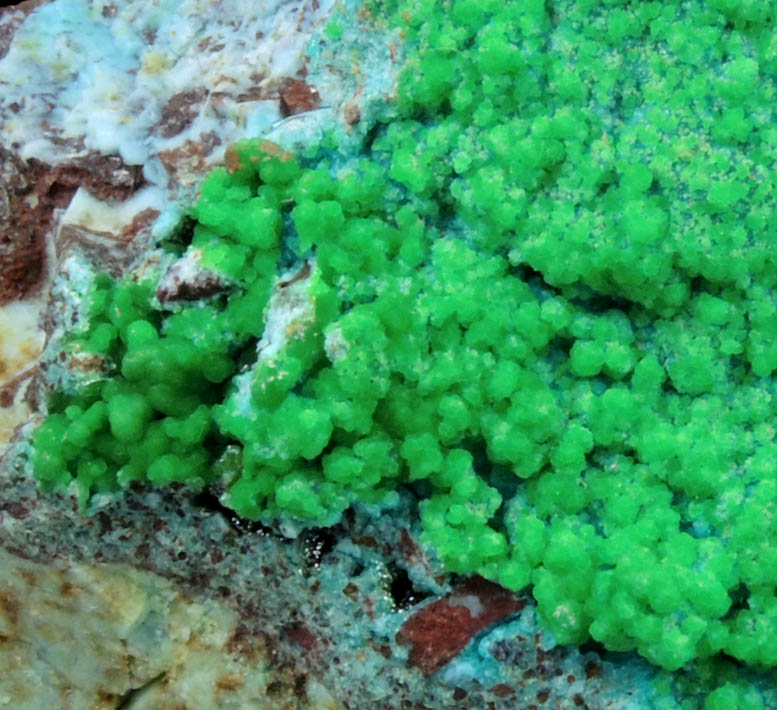 Conichalcite over Chrysocolla from Gold Hill Mine, Toole County, Utah