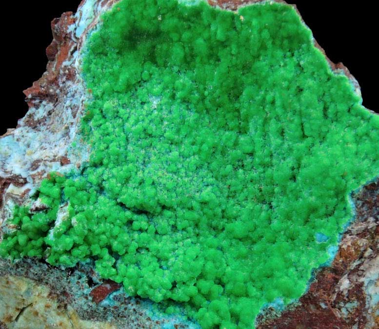 Conichalcite over Chrysocolla from Gold Hill Mine, Toole County, Utah