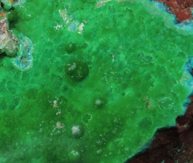 Conichalcite, Calcite, Chrysocolla from Gold Hill Mine, Toole County, Utah