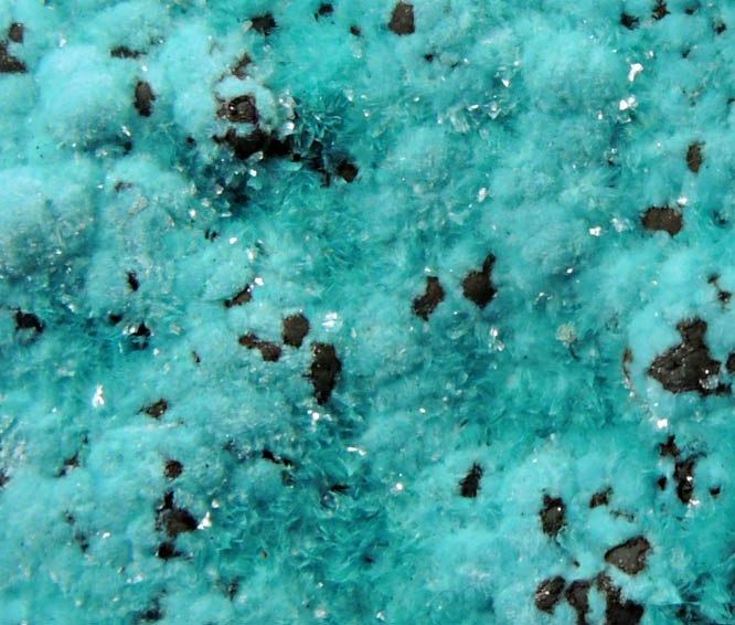 Aurichalcite from Kelly Mine, Magdalena District, Socorro County, New Mexico