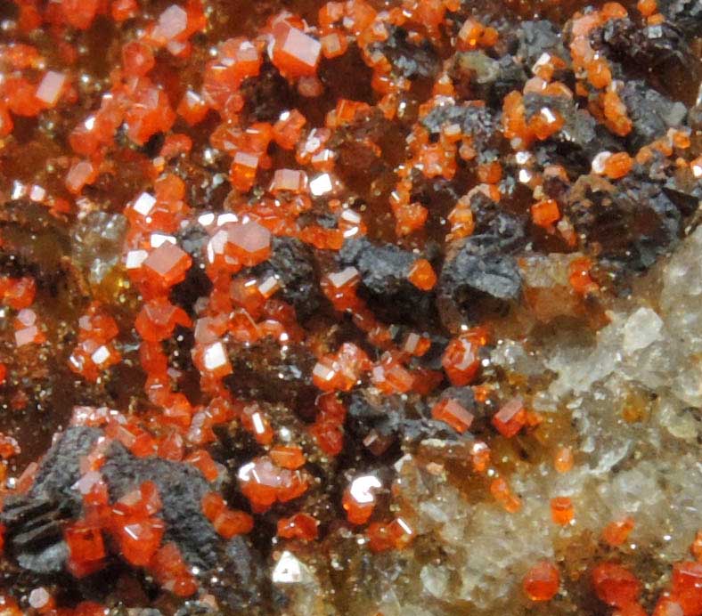 Vanadinite on Quartz from Apache Mine (Vanadium Shaft), 8 km north of Globe, Gila County, Arizona