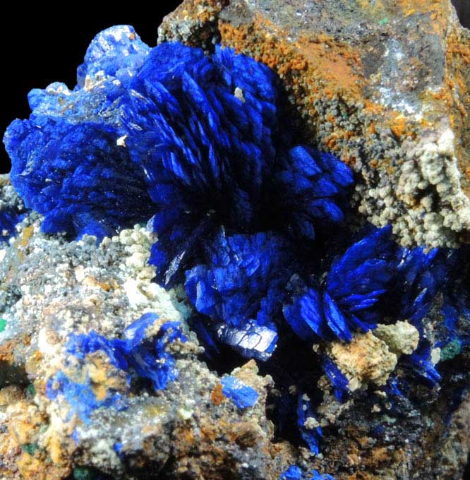 Azurite from Morenci Mine, Clifton District, Greenlee County, Arizona