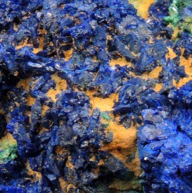 Azurite on Malachite from Blue Jay Claim, La Sal, San Juan County, Utah