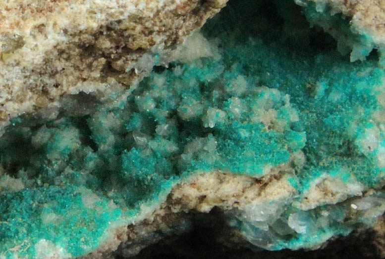 Dioptase over Calcite from Christmas Mine, Banner District, Gila County, Arizona