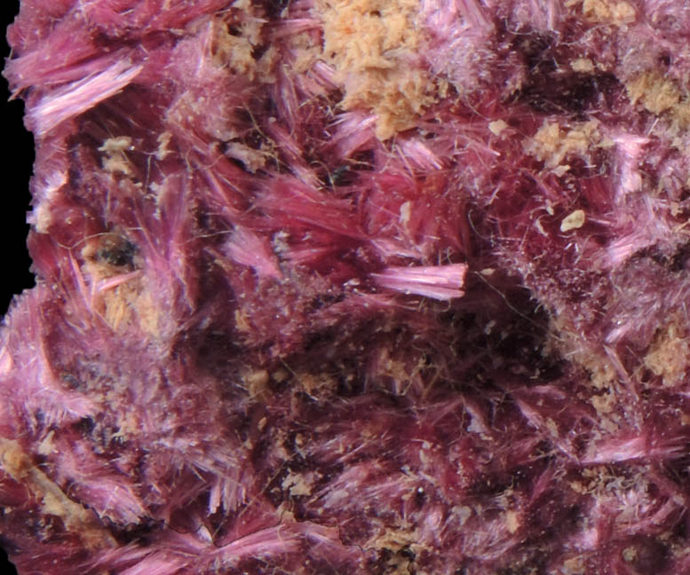 Erythrite from Mount Cobalt Mine, Mount Isa-Cloncurry District, Queensland, Australia