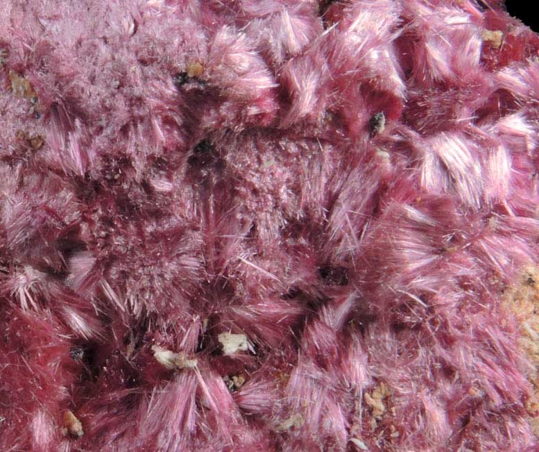 Erythrite from Mount Cobalt Mine, Mount Isa-Cloncurry District, Queensland, Australia