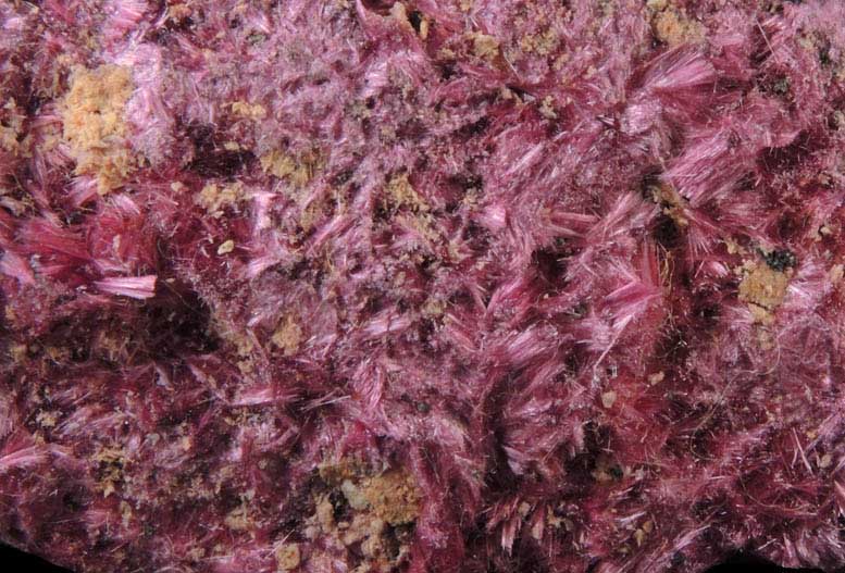 Erythrite from Mount Cobalt Mine, Mount Isa-Cloncurry District, Queensland, Australia