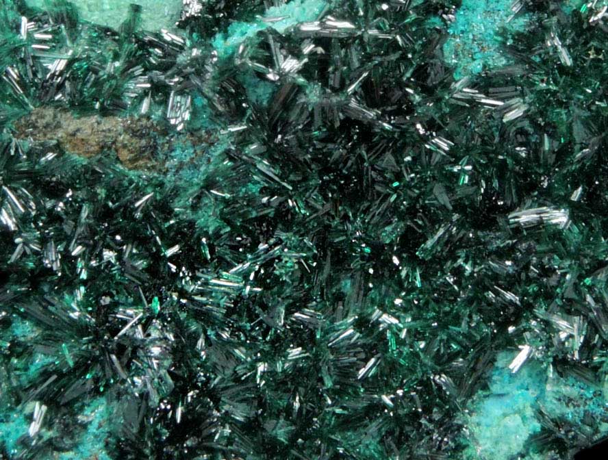 Atacamite from Mina Farola, Copiapo, Atacama Desert, Chile (Type Locality for Atacamite)