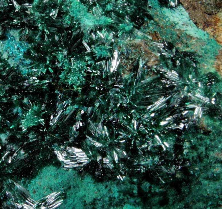 Atacamite from Mina Farola, Copiapo, Atacama Desert, Chile (Type Locality for Atacamite)