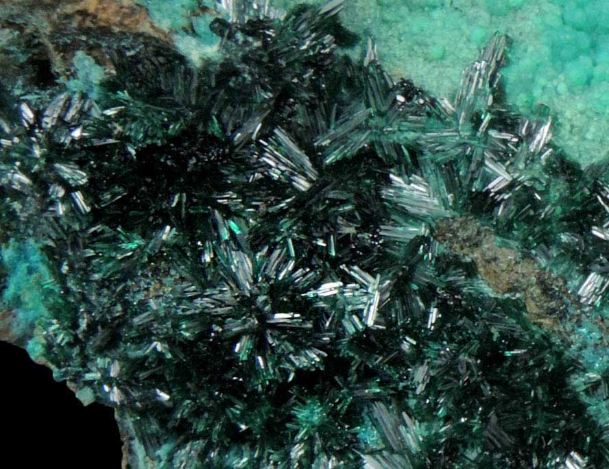 Atacamite from Mina Farola, Copiapo, Atacama Desert, Chile (Type Locality for Atacamite)