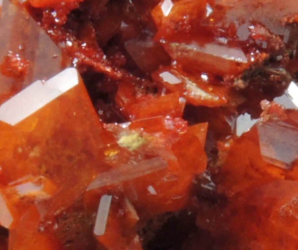 Wulfenite from Red Cloud Mine, Silver District, La Paz County, Arizona