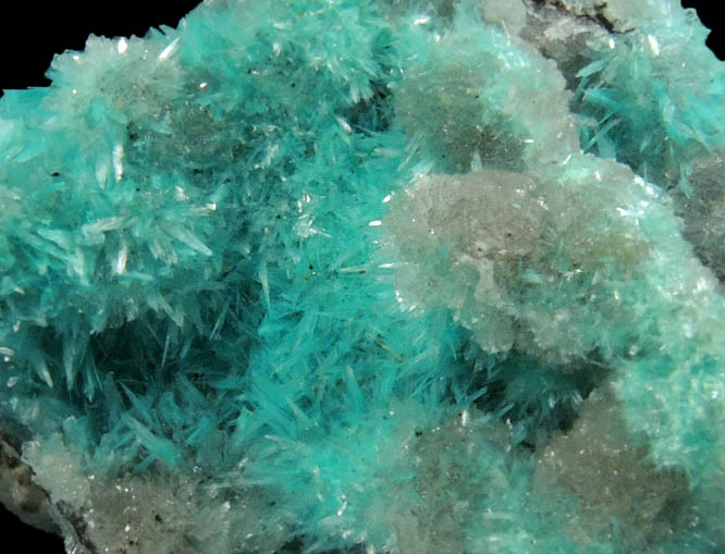 Aurichalcite on Hemimorphite from 79 Mine, Banner District, near Hayden, Gila County, Arizona