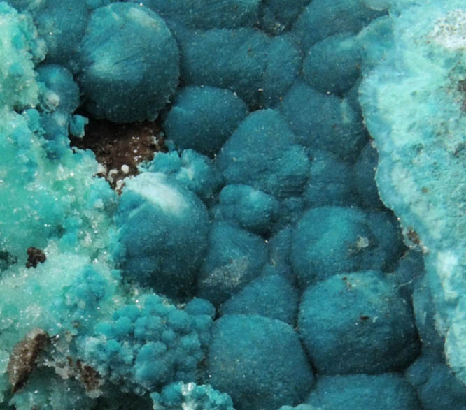 Rosasite over Aurichalcite from Silver Bill Mine, Courtland-Gleeson District, Cochise County, Arizona