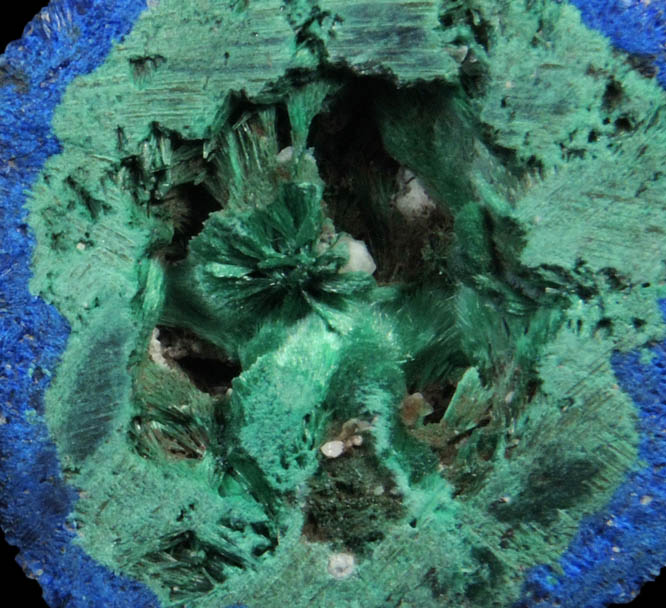 Azurite nodule with Malachite replacement core from Blueball Mine, Globe-Miami District, Gila County, Arizona