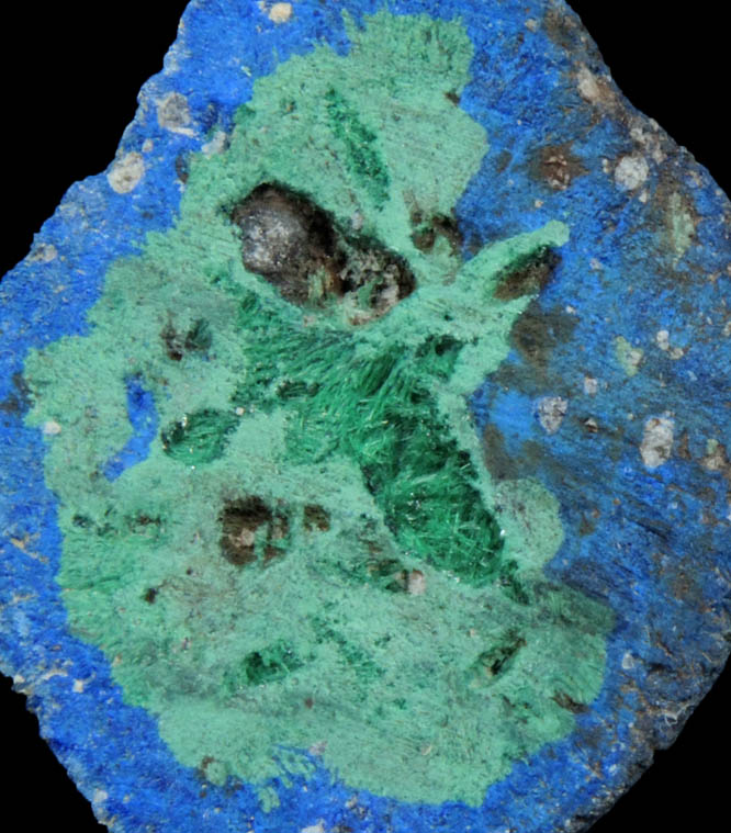 Azurite nodule with Malachite replacement core from Blueball Mine, Globe-Miami District, Gila County, Arizona