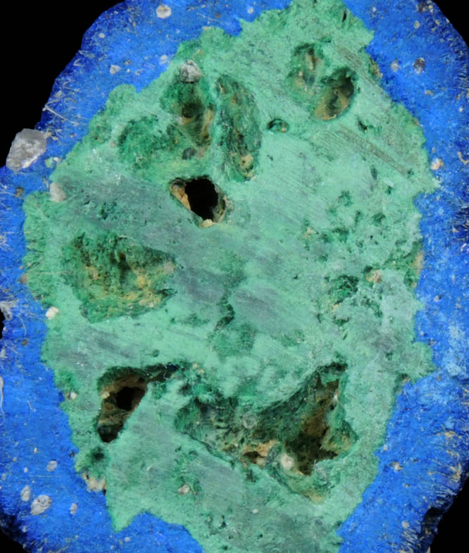 Azurite nodule with Malachite replacement core from Blueball Mine, Globe-Miami District, Gila County, Arizona