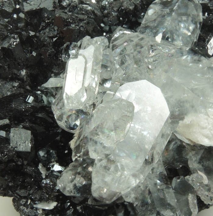 Gaudefroyite with Calcite overgrowth from N'Chwaning II Mine, Kalahari Manganese Field, Northern Cape Province, South Africa