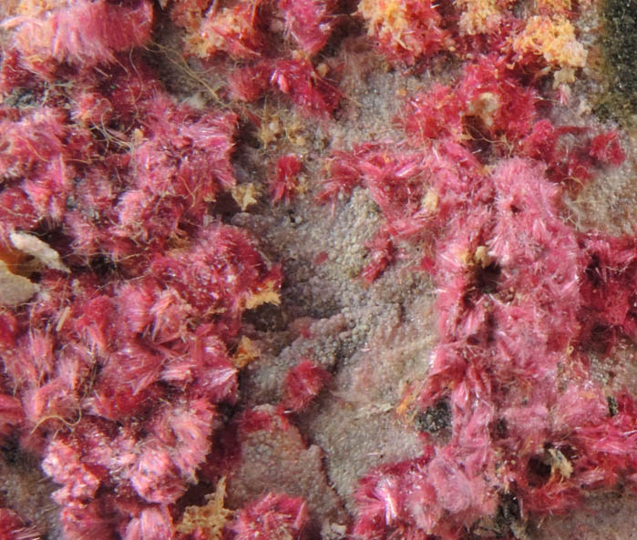 Erythrite from Mount Cobalt Mine, Mount Isa-Cloncurry District, Queensland, Australia