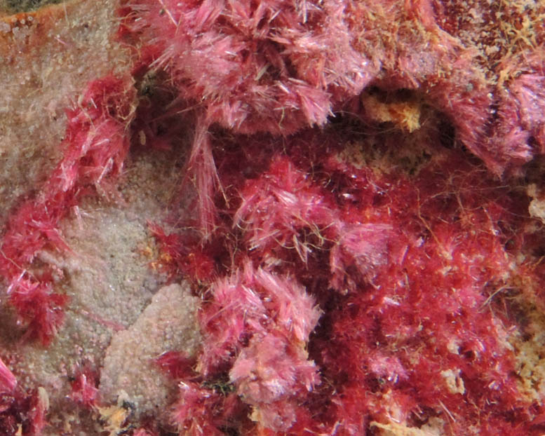 Erythrite from Mount Cobalt Mine, Mount Isa-Cloncurry District, Queensland, Australia