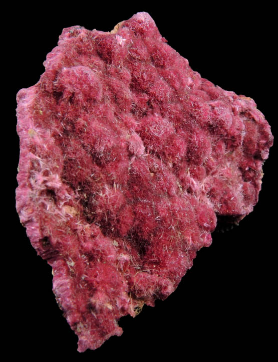 Erythrite from Mount Cobalt Mine, Mount Isa-Cloncurry District, Queensland, Australia