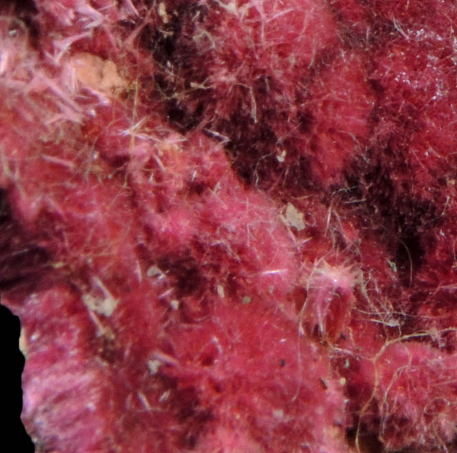 Erythrite from Mount Cobalt Mine, Mount Isa-Cloncurry District, Queensland, Australia