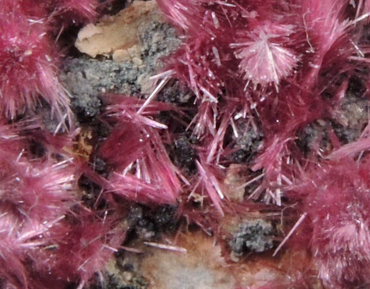 Erythrite from Mount Cobalt Mine, Mount Isa-Cloncurry District, Queensland, Australia