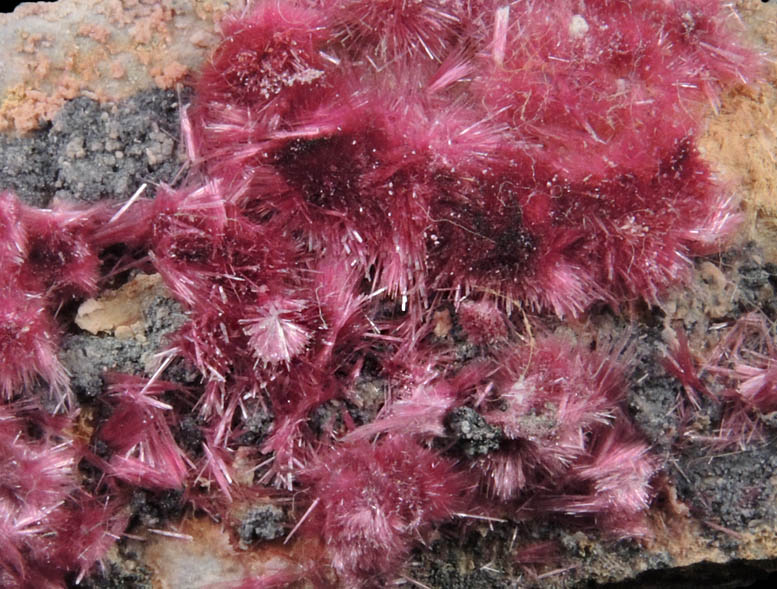 Erythrite from Mount Cobalt Mine, Mount Isa-Cloncurry District, Queensland, Australia