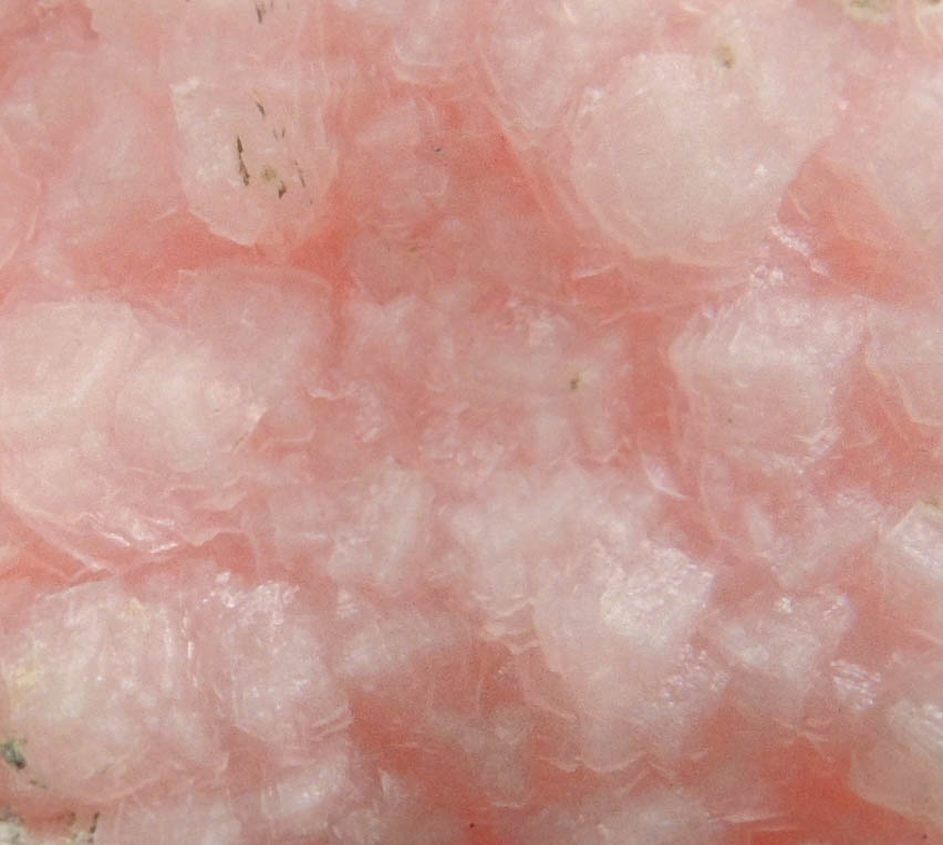 Rhodochrosite on Sphalerite from Remedios Mine, Taxco, Guerrero, Mexico