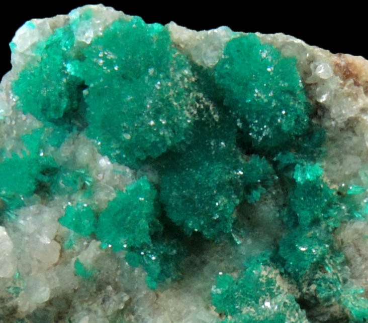 Dioptase on Calcite from Christmas Mine, Banner District, Gila County, Arizona