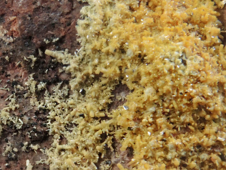 Vanadinite from Ford Mine, Mammoth District, Pinal County, Arizona
