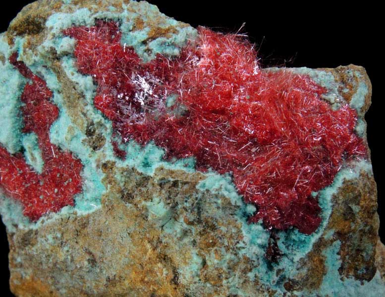 Cuprite var. Chalcotrichite on Chrysocolla from Ray Mine, Mineral Creek District, Pinal County, Arizona