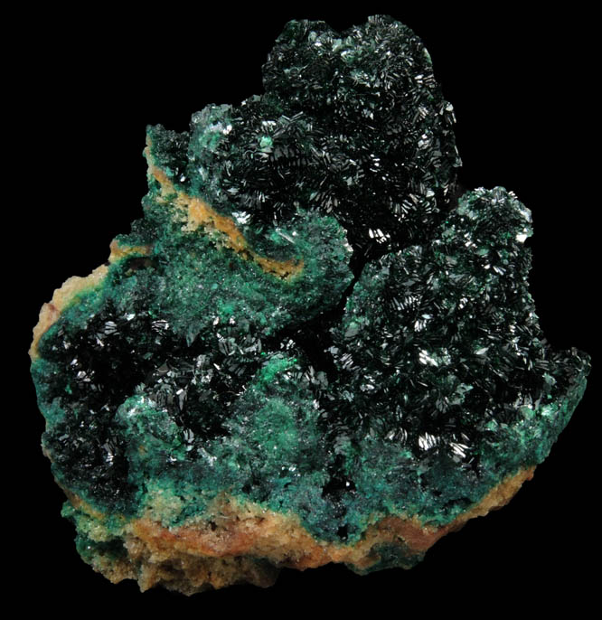 Malachite from Musonoi Mine, Kolwezi District, Katanga Copperbelt, Lualaba Province, Democratic Republic of the Congo