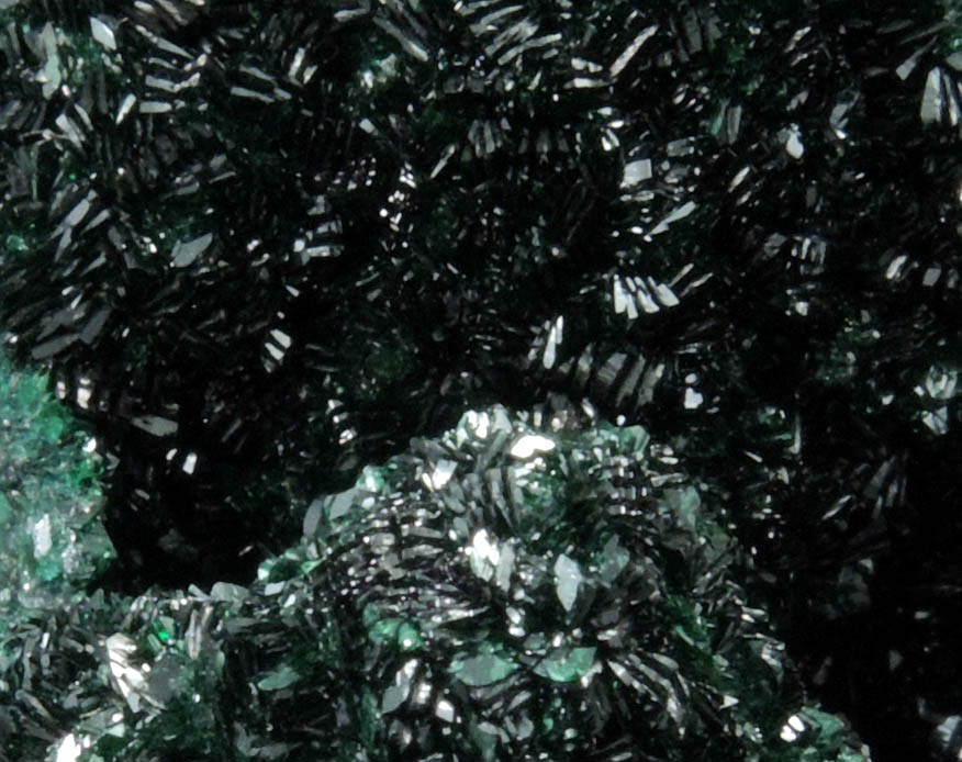 Malachite from Musonoi Mine, Kolwezi District, Katanga Copperbelt, Lualaba Province, Democratic Republic of the Congo