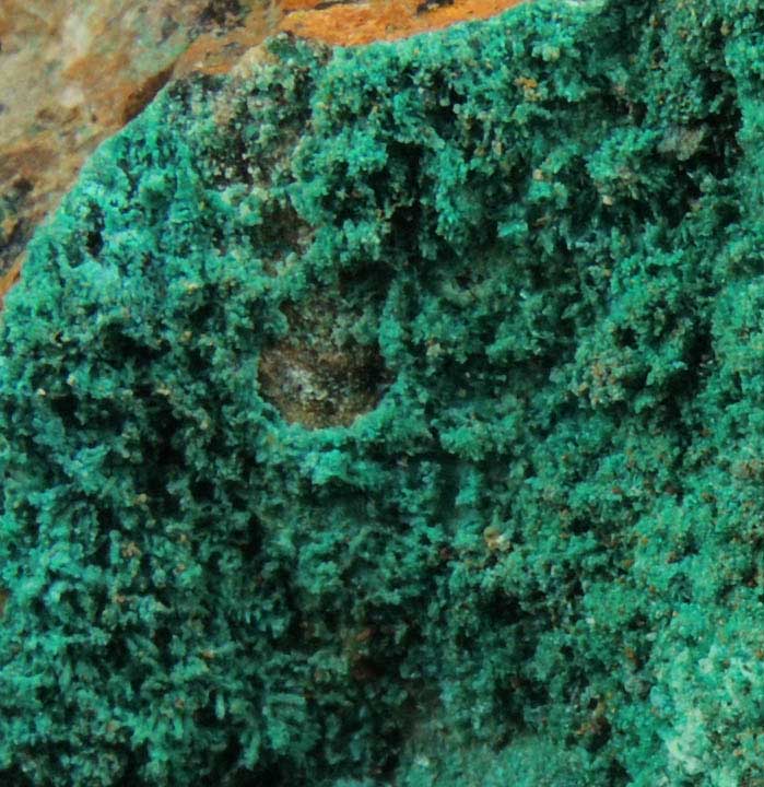 Spangolite and Brochantite from Lovelock Mine, Bolivia, Table Mountain District, Churchill County, Nevada