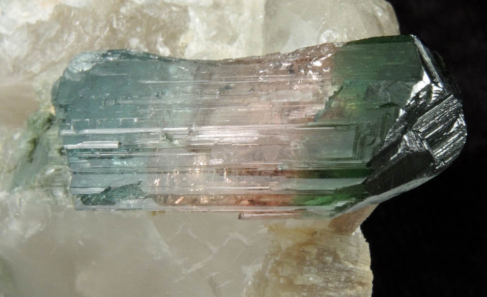 Elbaite Tourmaline (polychrome) in Quartz from Barra do Salinas, Coronel Murta, Minas Gerais, Brazil